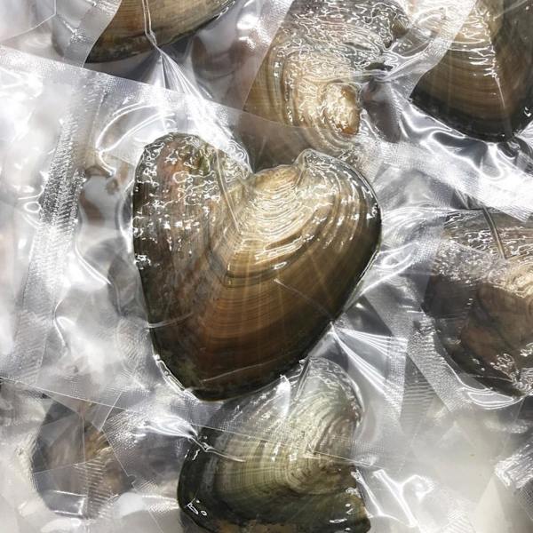 Alla hjärtans dag smyckesset öppnar sin egen Pearl Valentine's GXL-gåva R9L4 F4S6 canned 1pcs