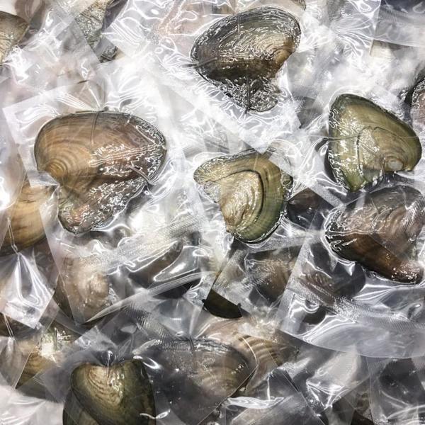 Alla hjärtans dag smyckesset öppnar sin egen Pearl Valentine's GXL-gåva R9L4 F4S6 canned 1pcs