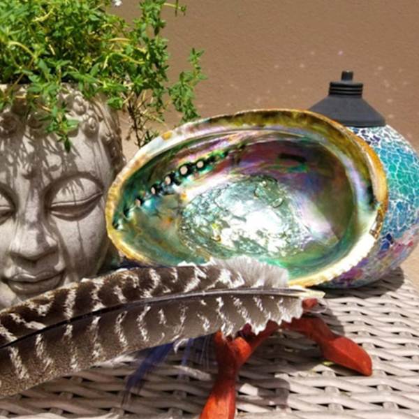 Stort naturligt Abalone Shell Smudging Lugnande energidekor Hem Black-brownD 9-10cm