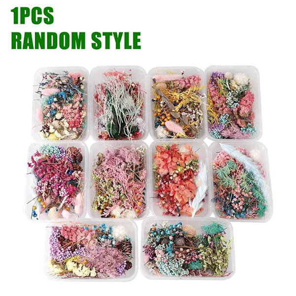 Blandade Torkade Blommor För Resin Smycken Torkade Växter Pressade Blommor Tillverkning D5E6