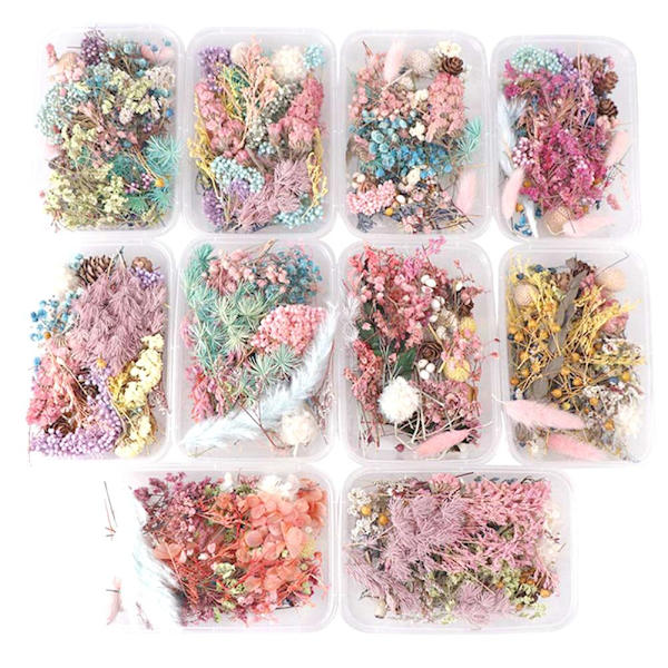 Blandade Torkade Blommor För Resin Smycken Torkade Växter Pressade Blommor Tillverkning D5E6