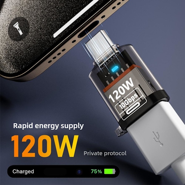 USB 3.2 Hona till Typ C Hane Port Konverter Adapter☆ E5R6 F8D6 Black 1 pcs