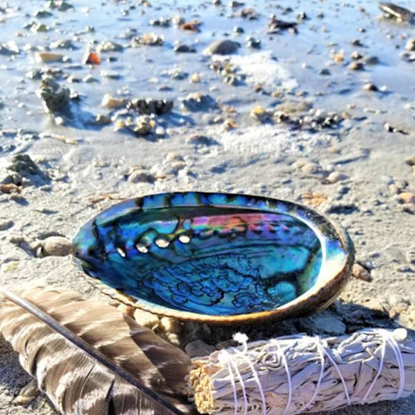 Stort naturligt Abalone Shell Smudging Lugnande energidekor Hem Black-brownD 9-10cm