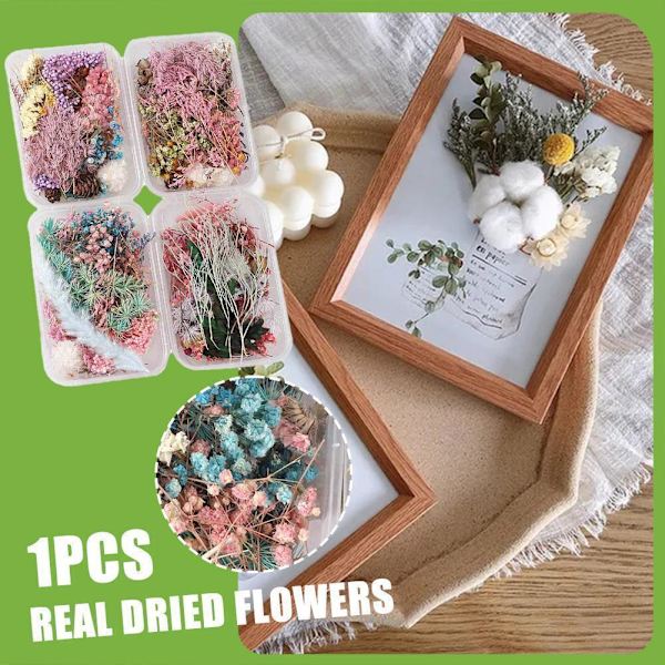 Blandade Torkade Blommor För Resin Smycken Torkade Växter Pressade Blommor Tillverkning D5E6
