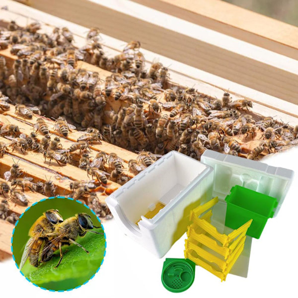 Enkel Biodling Drottningodling Parning Nuc Skörd Pollinera A One size