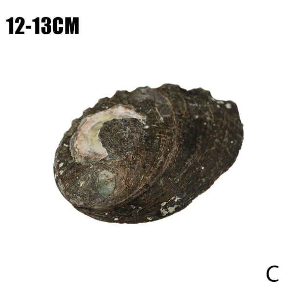 Stort naturligt Abalone Shell Smudging Lugnande energidekor Hem Black-brownD 9-10cm