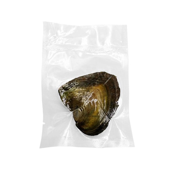 Alla hjärtans dag smyckesset öppnar sin egen Pearl Valentine's GXL-gåva R9L4 F4S6 Vacuum bag 1pcs