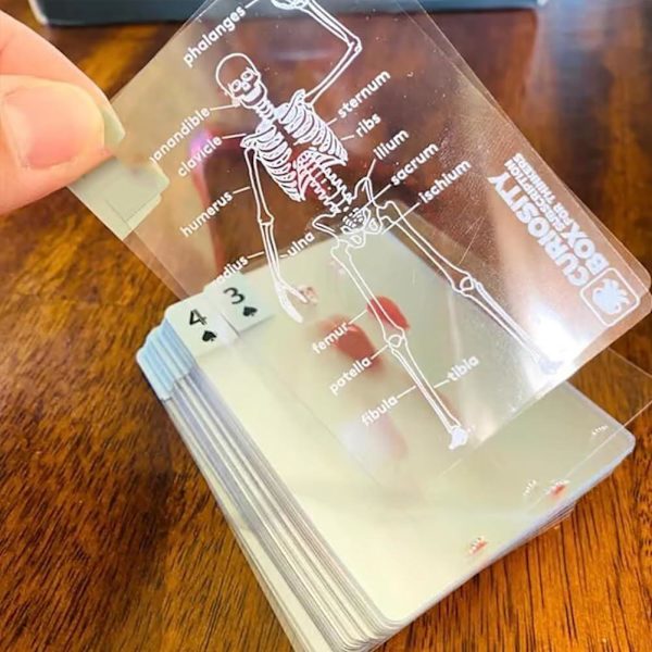 The Body-Deck, Unik Transparent 3D-bild av människans anatomi P