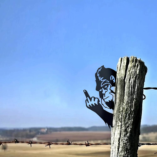 Kikar fram en Boo som ger fingret Djur Metallskylt Konst Ornament❉ M 1pcs