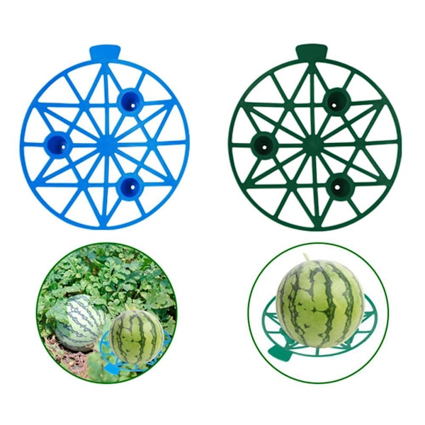 10 st Anti-röta Stöd för Melon och Frukt i Plast blue 10pcs 