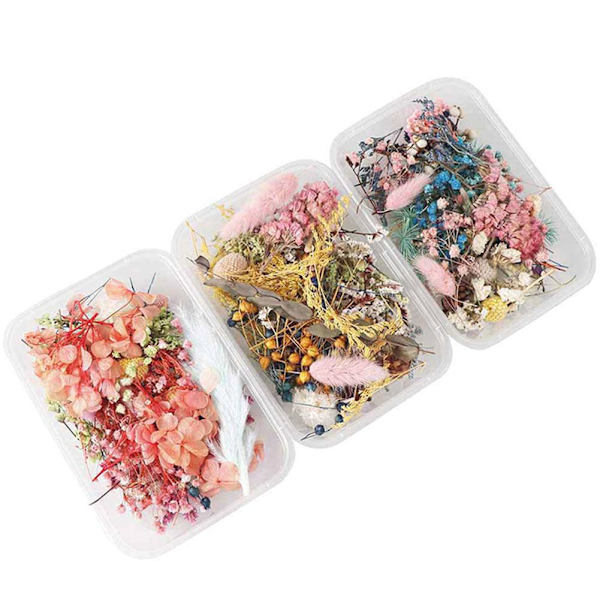 Blandade Torkade Blommor För Resin Smycken Torkade Växter Pressade Blommor Tillverkning D5E6