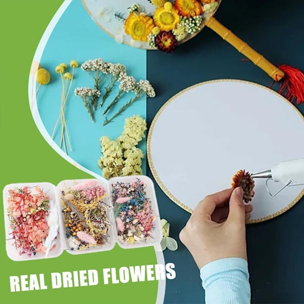 Blandade Torkade Blommor För Resin Smycken Torkade Växter Pressade Blommor Tillverkning D5E6