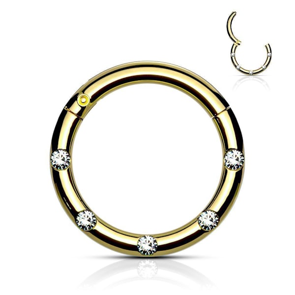 10 mm Segmentring i IP 316L kirurgisk stål med 5 Hvide CZ 5 Rose Guld