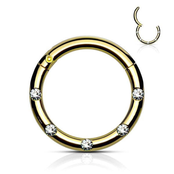10 mm Segment Ring i IP 316L kirurgiskt stål med 5 Vita CZ 4 Guld