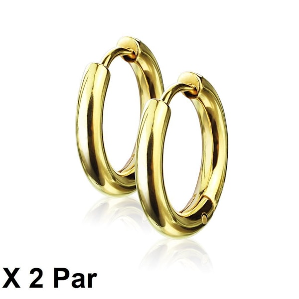 Obs 2 Par17 mm Hoops örhängen i Guldpläterad 316L  stål