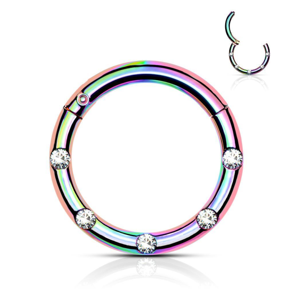 10 mm Segment Ring i IP 316L kirurgiskt stål med 5 Vita CZ 1 Rainbow