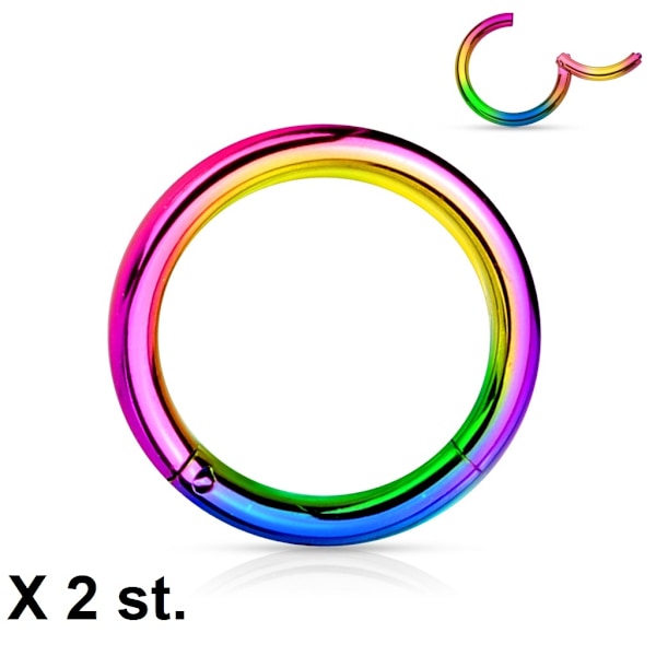 2x10 mm"Hinged"Segment Piercingring i Rainbow Implant Titanium multifärg