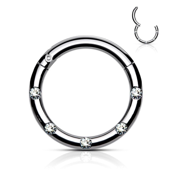 10 mm Segment Ring i IP 316L kirurgiskt stål med 5 Vita CZ 2 Svart