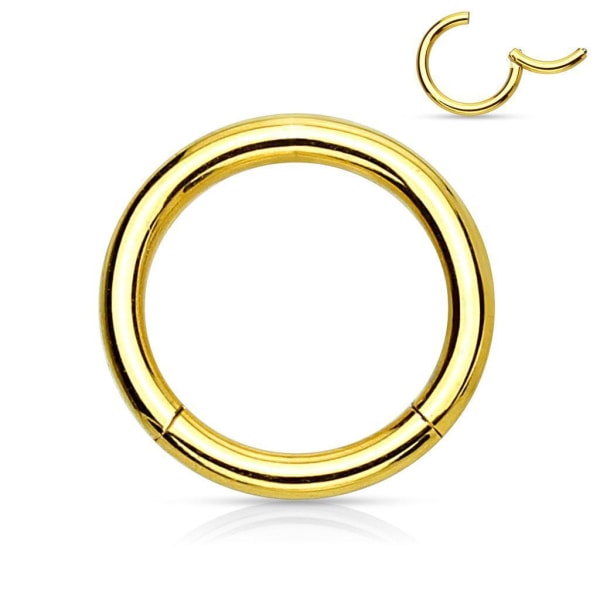 8 mm "Hinged" Segment Piercing Ring i Implant Titanium 1,2 mm tyk Gold 3 Guld