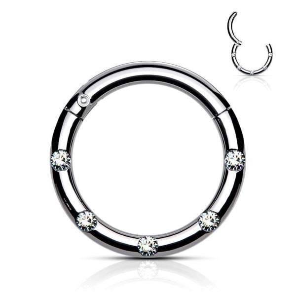 10 mm Segmentring i IP 316L kirurgisk stål med 5 White CZ 5 Rose Guld