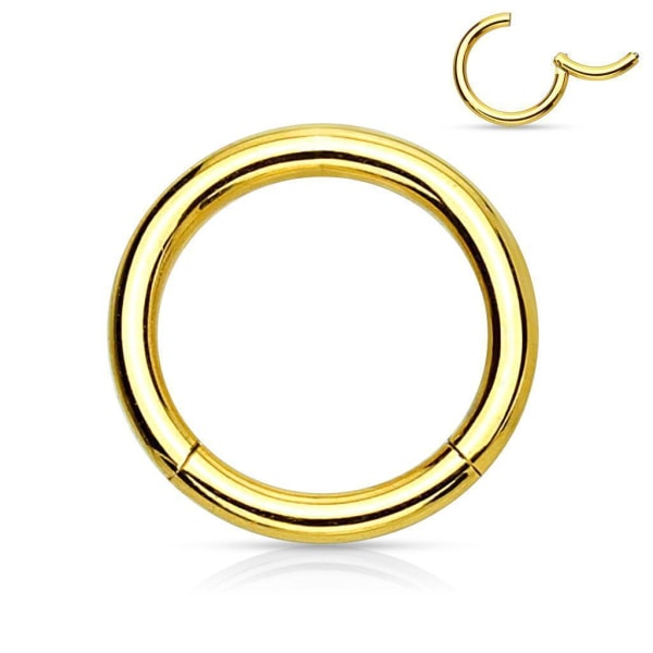 12 mm "Hinged" Segment Piercing Ring i Implant Titanium 1,2 mm Gold