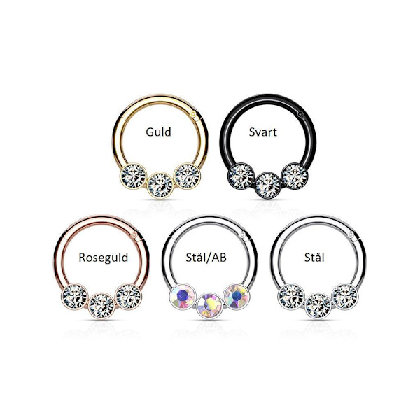 8 mm Segment Ring i IP 316L kirurgiskt stål med 3 CZ White 2 Svart/vita CZ