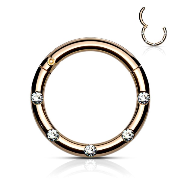 10 mm Segmentring i IP 316L kirurgisk stål med 5 Hvide CZ