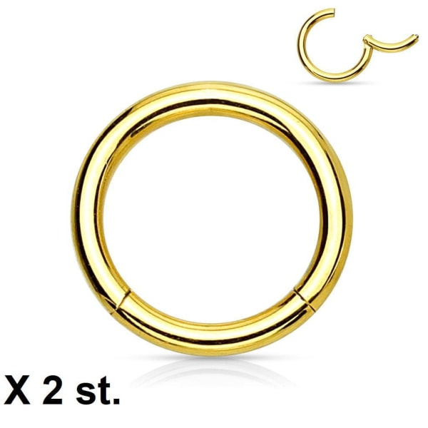 Par 12 mm "hængslet" segmentpiercingring i implantat Titanium 1,2 mm Gold