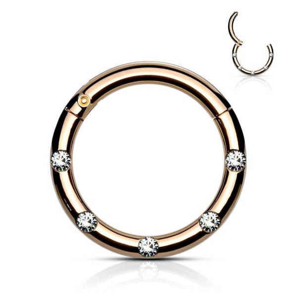 10 mm Segment Ring i IP 316L kirurgiskt stål med 5 Vita CZ 5 Rose Guld