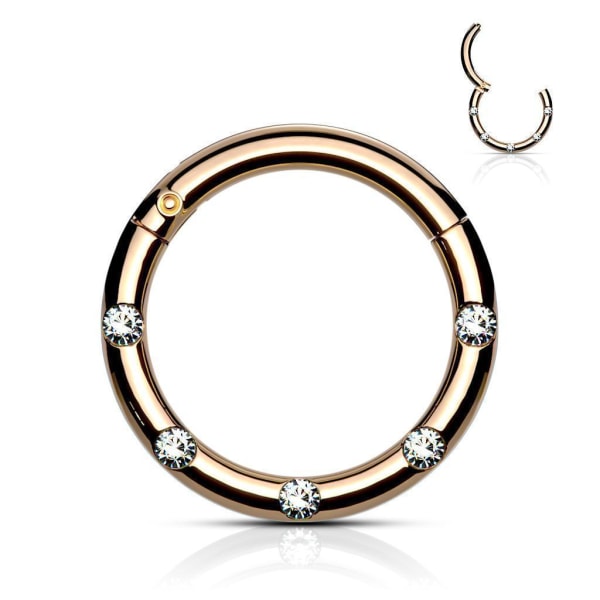 10 mm Segmentring i IP 316L kirurgisk stål med 5 Hvide CZ 5 Rose Guld