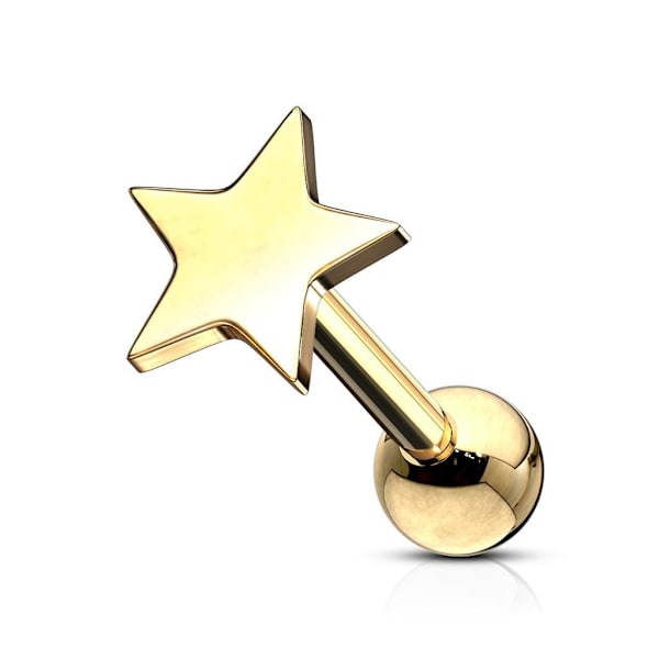 Stjärnormad Tragus/Cartilage Studs i Guld IP-316L stål Guld