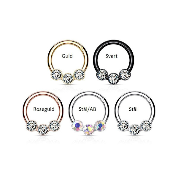 8 mm Segmentring i IP 316L kirurgisk stål med 3 CZ 4 Titanium/vita CZ