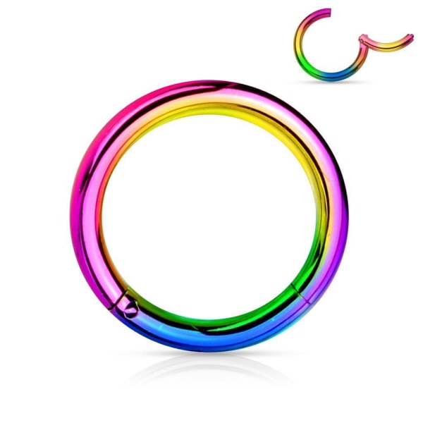 10 mm Segment Piercing Ring i Rainbow Implant Titanium