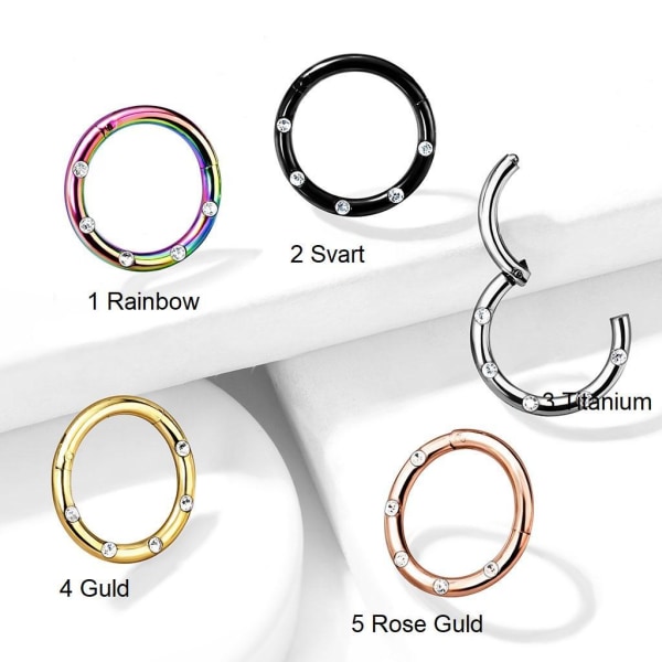10 mm:n segmenttirengas IP 316L kirurgisesta teräksestä ja 5 valkoista CZ:tä 1 Rainbow