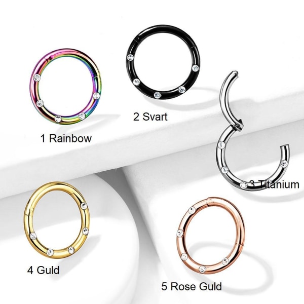 10 mm Segment Ring i IP 316L kirurgiskt stål med 5 Vita CZ 1 Rainbow