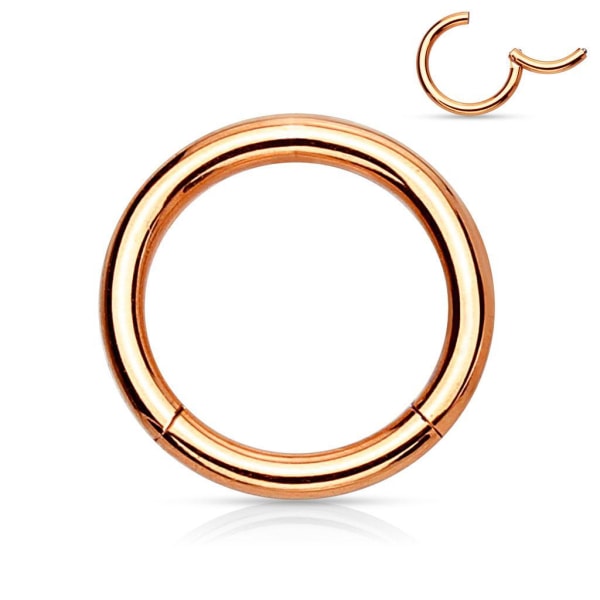 8 mm "Hinged" Segment Piercing Ring i Implant Titanium 1,2 mm tyk Gold 3 Guld