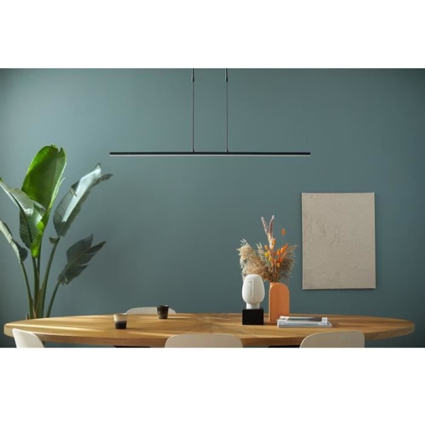 Sienna Zelena Integrated Led Ceiling Light Suspended Matt Black, Matt Plast