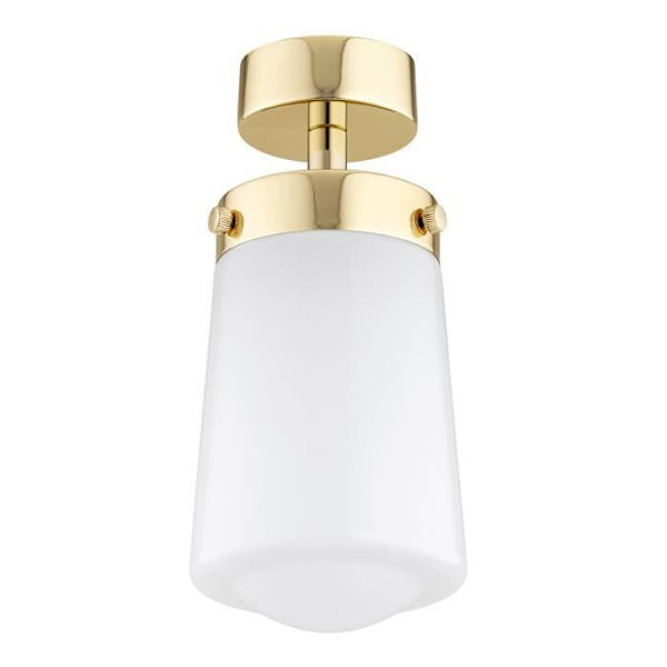 Argon PASADENA Ytmonterad downlight blank vit, mässingsstål IP44
