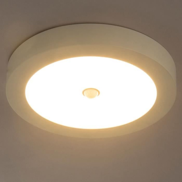 LED-byggnadspanel, rörelsesensor, 1600, varmvit, D 22,6 cm, PAULA