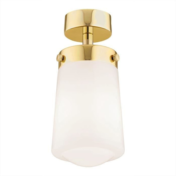 Argon PASADENA Ytmonterad downlight blank vit, mässingsstål IP44