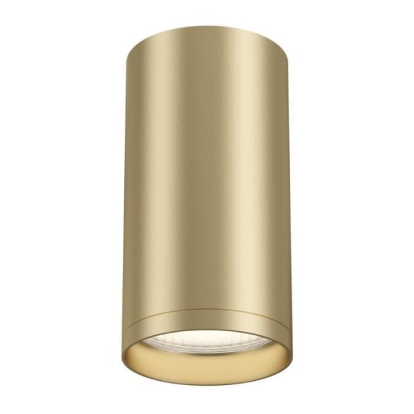 Maytoni Focus S Maytoni Technical - FOCUS S Technical FOCUS S Overflademonteret loftslampe mat guld