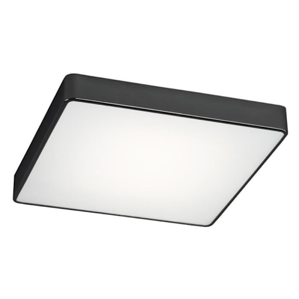 Argon ONTARIO Loftslys Sort struktur 25cm - Malet stål, glas - E27 - 2 pærer - Moderne - Design