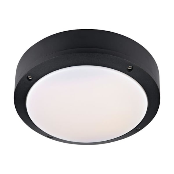 LUNA LED udendørs loftslampe i sort PVC