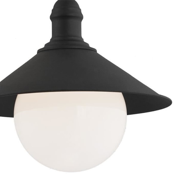 Argon ERBA nedhængt loftslampe Bis Dome Black Structure IP44