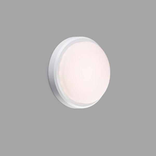 TOM XL hvid LED udendørs væglampe - opal glas diffuser KASTANJ