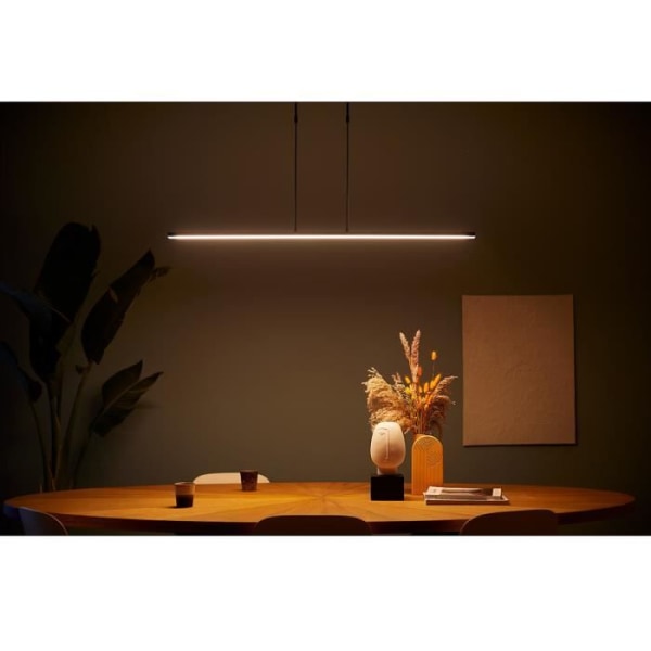 Sienna Zelena Integrated Led Ceiling Light Suspended Matt Black, Matt Plast