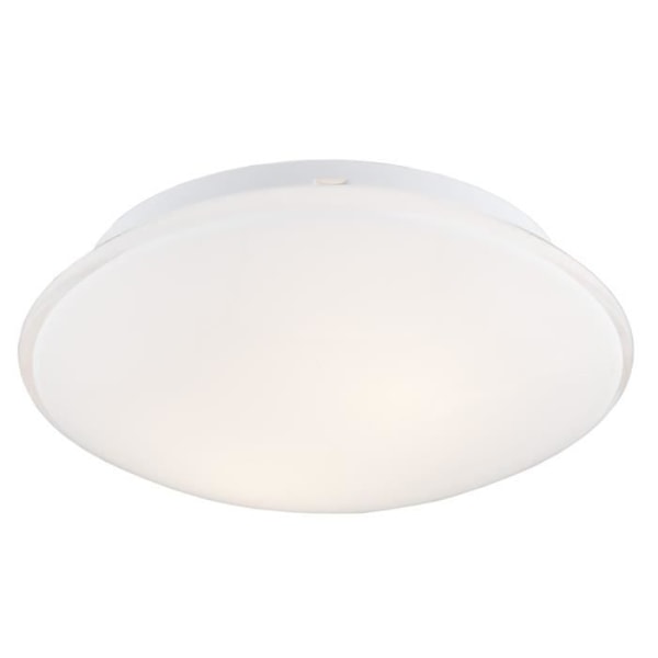 Argon GIN 2-Light Matt Opal Loftslampe