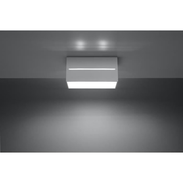 Taklampa - SOLLUX - LOBO 2 - Aluminium - Vit - 2 st G9 40W glödlampor