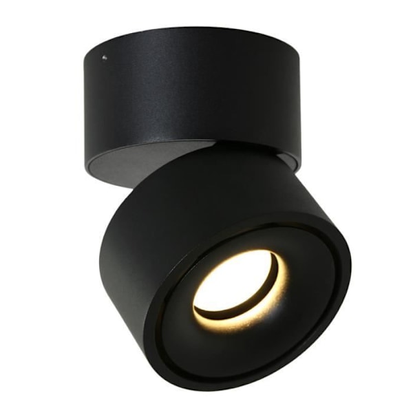 Sienna Fes BlackDownlight overflademonteret mat sort