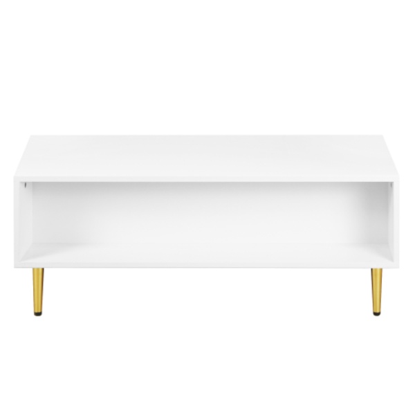 Modernt vitt soffbord med gyllene detaljer, 2 lådor, vertikal randdesign, 100*50*40cm, vardagsrums soffbord, kort skåp för soffa White